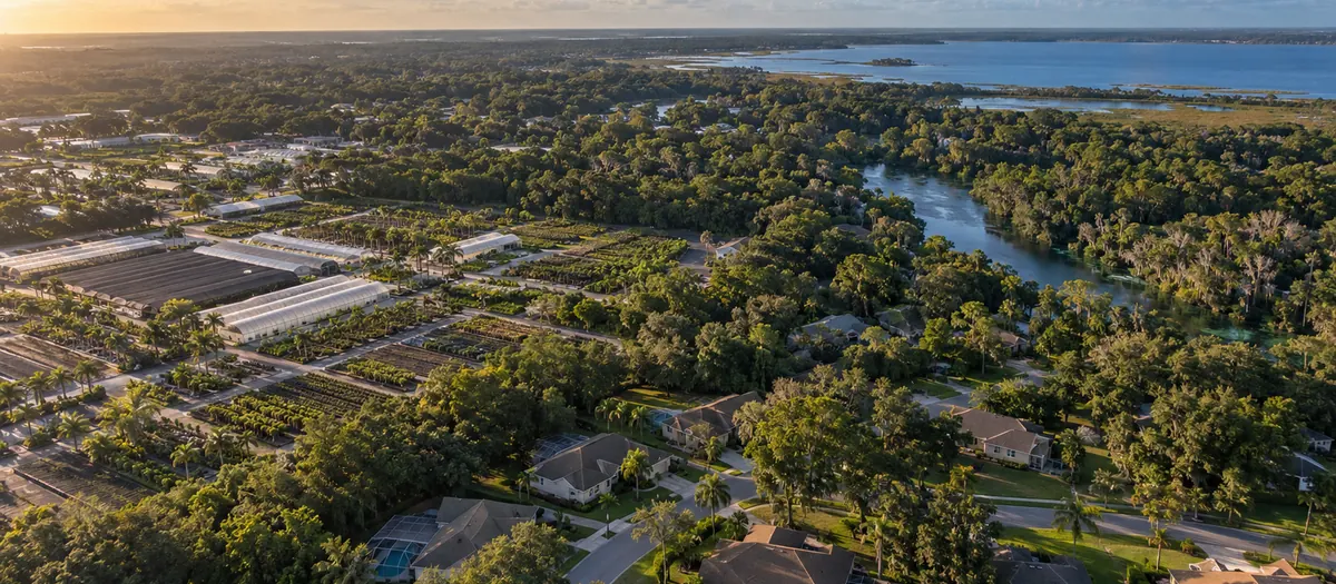 Roofs in Apopka, FL